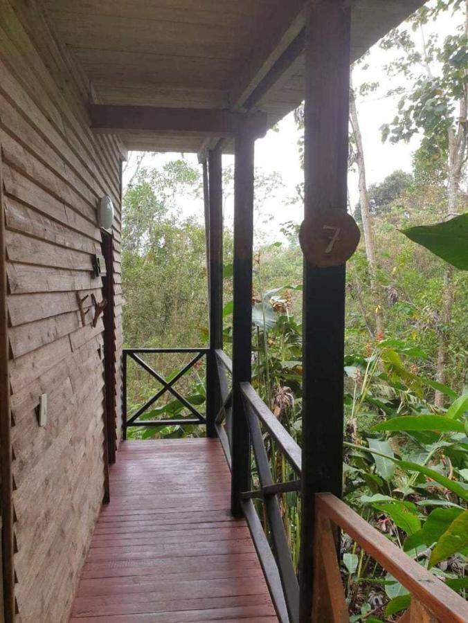 El Dorado Nature Reserve Villa Minca Esterno foto